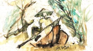 Kênh rạch miền Tây